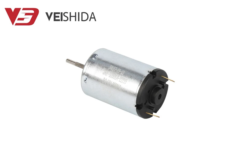 Electric Carbon Brush DC Motor